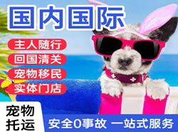 杭州机场空运国际宠物托运 【国